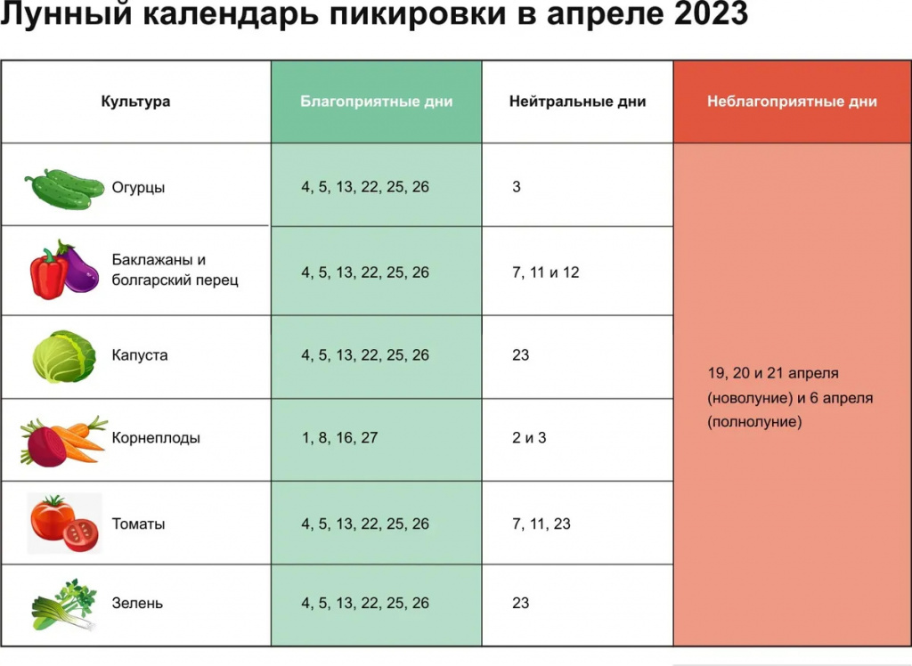 посадочные-дни-Ижевск-2023.jpg
